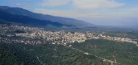 Bozdoğan
